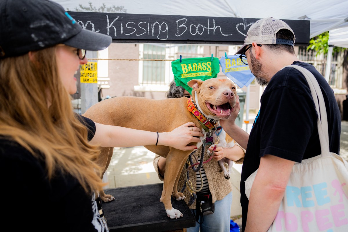 People petting rescue dog at Woofstock