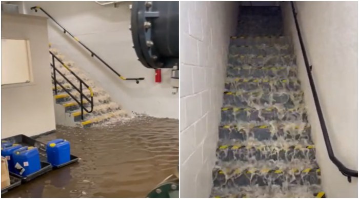 Water cascading into the basement of Prospect Park Zoo on Sept. 29 - submerging the zoo's heat and electrical infrastructure in as much as 25 feet of water