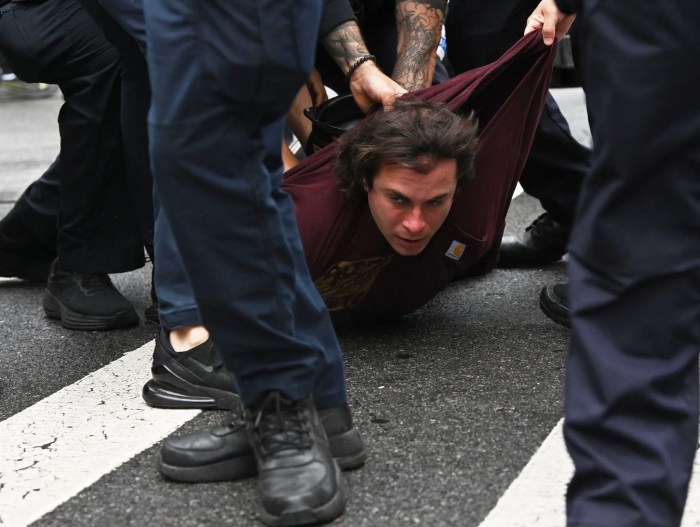 man arrested at Palestinian protest in Bay Ridge