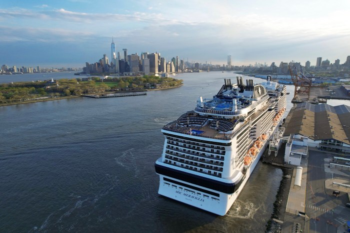 cruise ship docked at brooklyn cruise terminal whale death