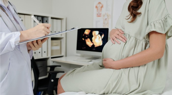 prenatal care file image