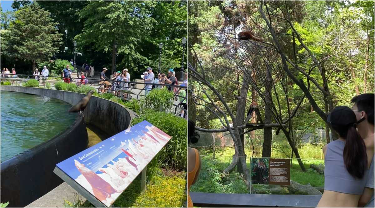 Animals welcomed back the crowds to Prospect Park Zoo after eight months
