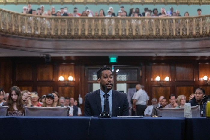 reynoso testifying in city council