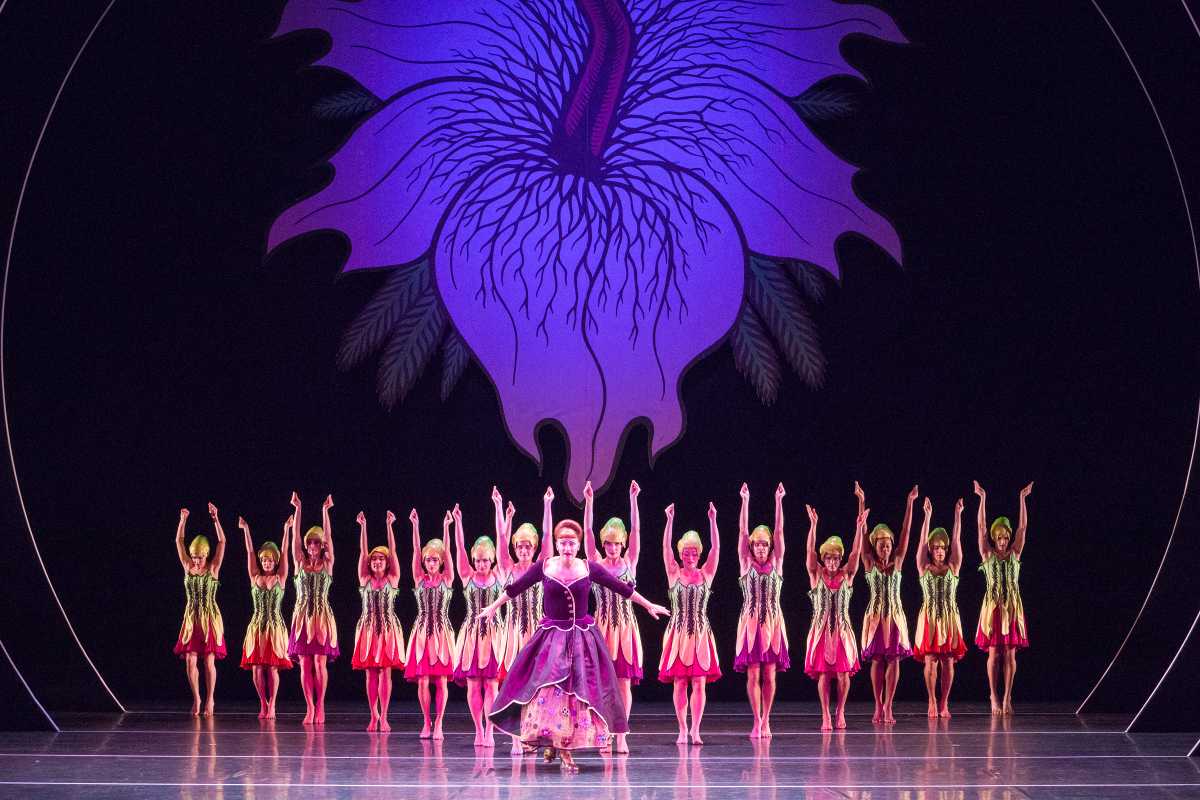 Brooklyn Academy of Music BAM show