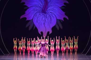 Brooklyn Academy of Music BAM show