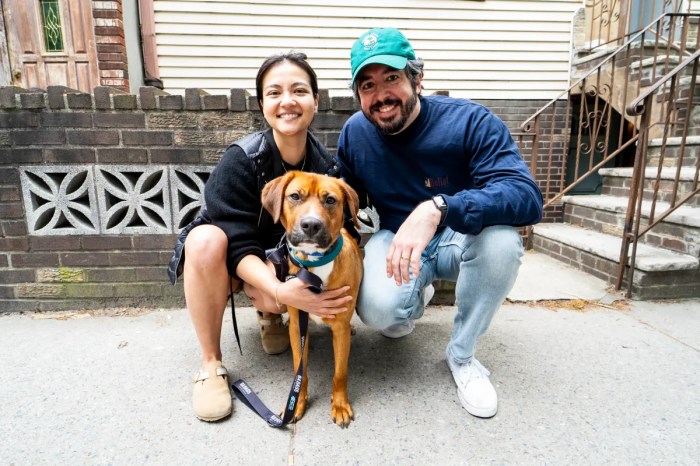adopted dog galileo