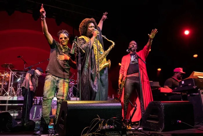 A summer of fun! Celebrate Brooklyn! annual concert theme explores culture, inclusivity, and diversity.