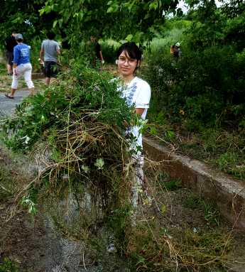 Pitching in and helping out! Volunteers help spruce up Coney Island waterways and parks on annual City of Water Day.