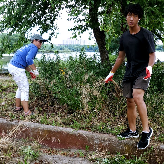 From beaches to bay, New York and the surrounding counties boast outdoor activities. Brooklynites can enjoy a prettier day in the sun thanks to these green-thumbs.