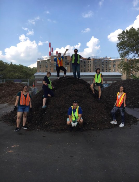 big reuse compost pile
