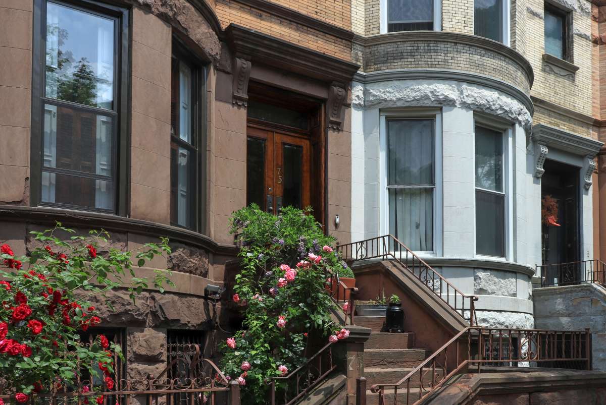 brooklyn-links-plg-june-2019-sdv-2