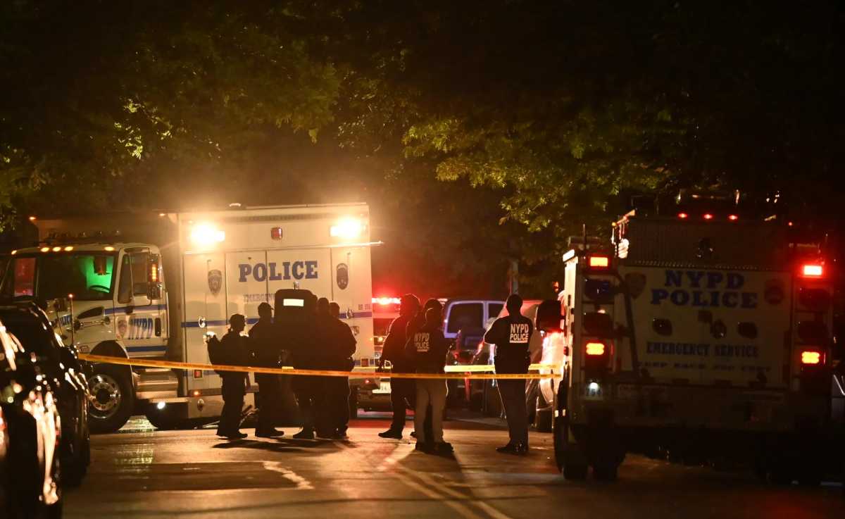 crime in brooklyn