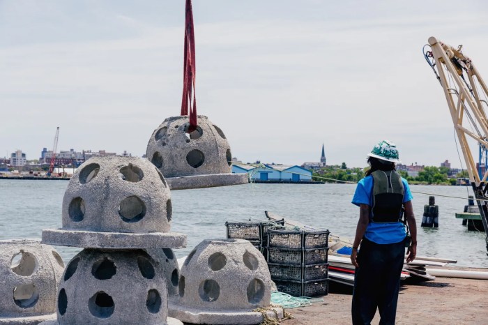 reef balls