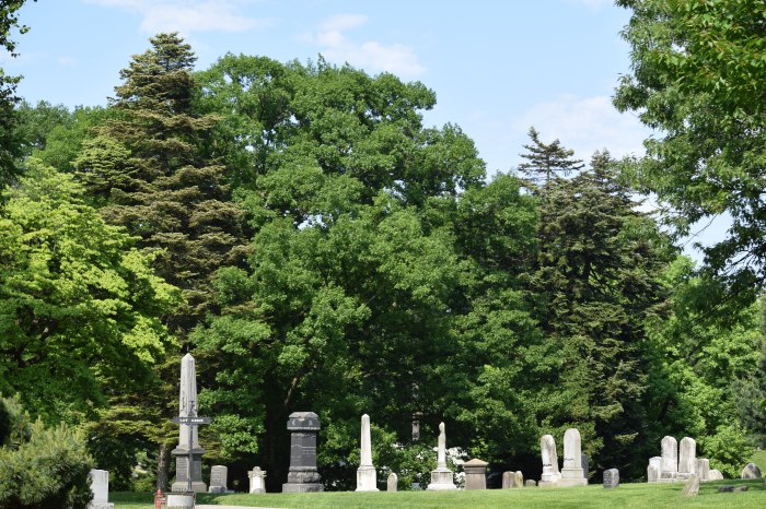 green-wood trees