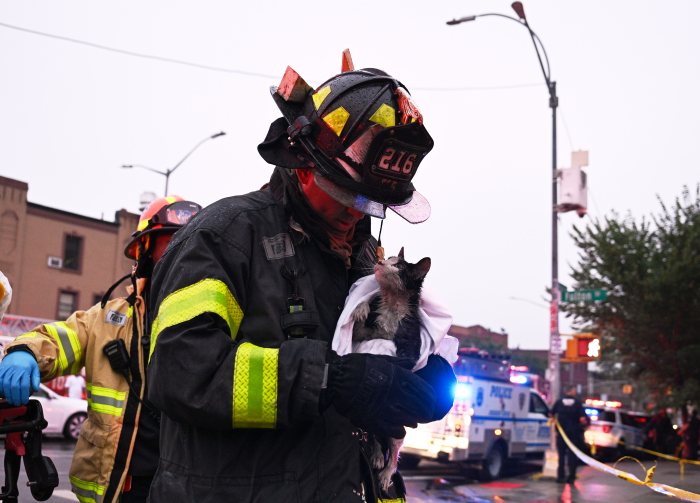 a firefighter holds a soot-covered cat in Ocean Hill Brooklyn
