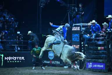 Ny Mavericks bull-riding