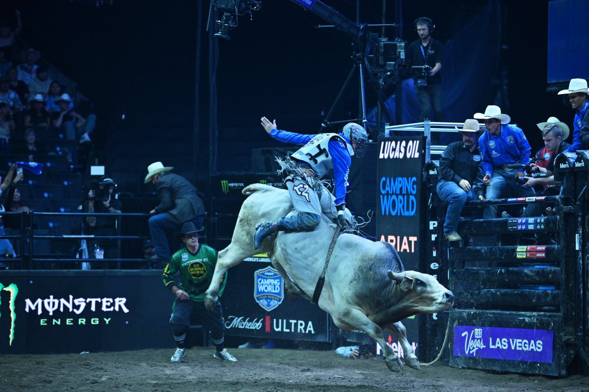 Ny Mavericks bull-riding