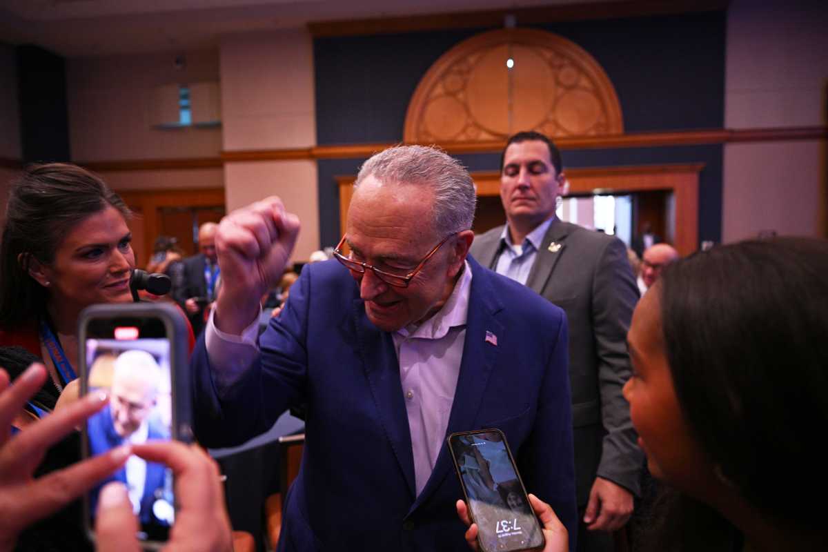 chuck schumer at DNC