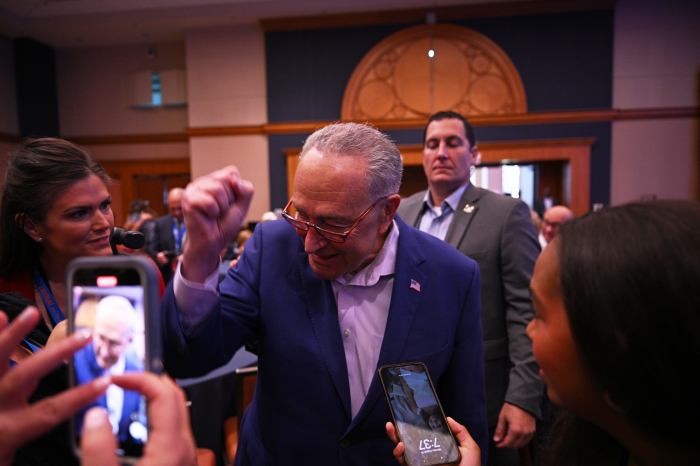 chuck schumer at DNC
