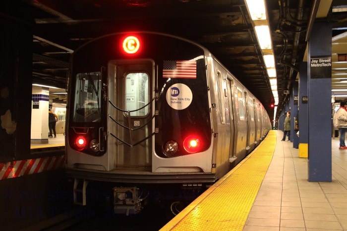 c train sentencing