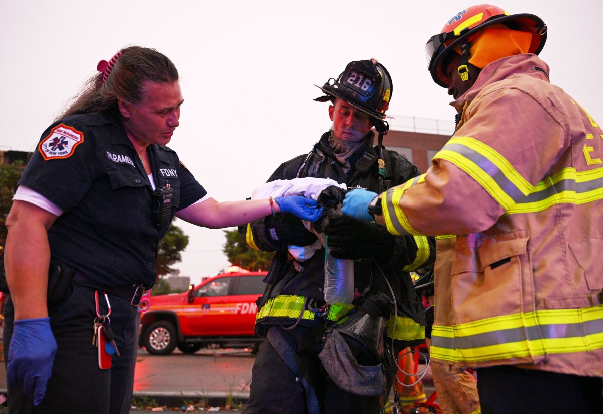 A firefighter  and FDNY EMS Paramedics work to resuscitation a cat found in the basement following a fire set by an  emotional disturbed person at 2204 Fulton Street on Thursday, August 8.. The EDP is in critical condition and a firefighter was left injured.
