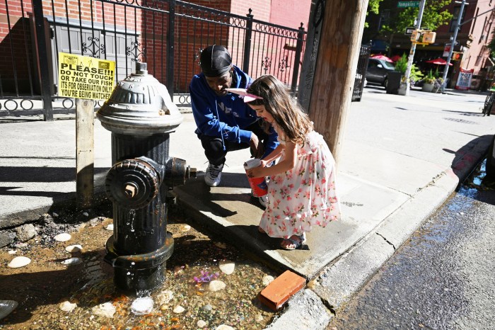 fish being fed in bed-stuy