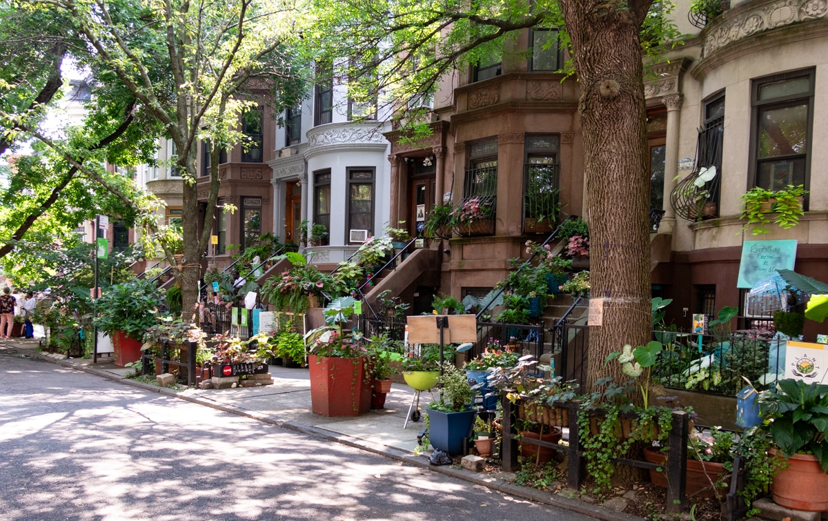 greenest-block-in-brooklyn-2024-lincoln-place-aug2024-sdevries-33