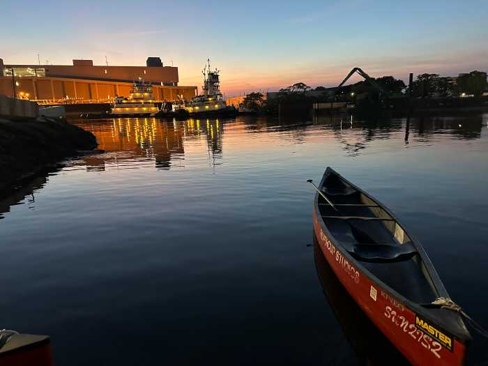 fish queen of the gowanus canal