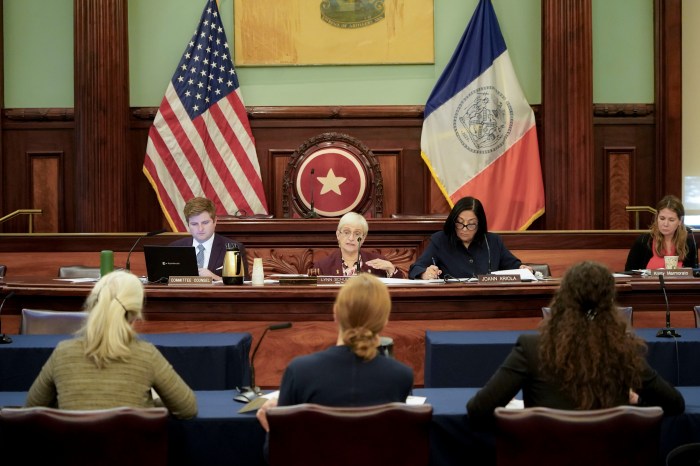 lynn schulman committee on health hearing