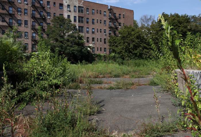crown heights rezoning empty lot