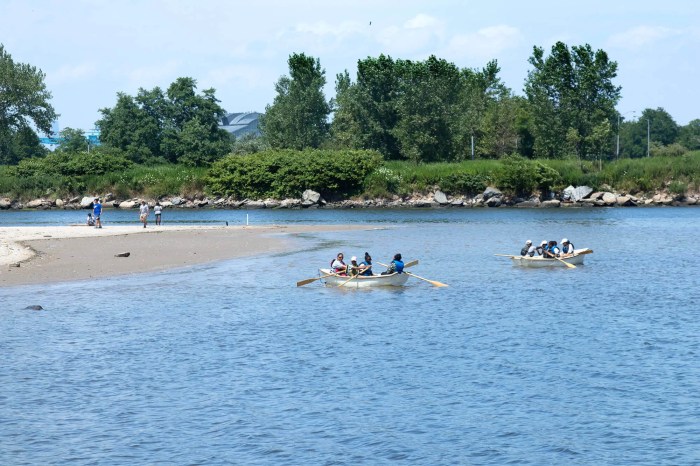 coney island creek