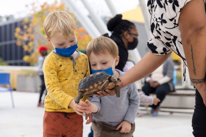 brooklyn children's museum