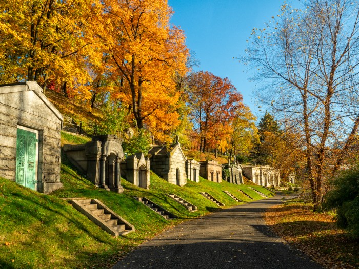 green-wood halloween