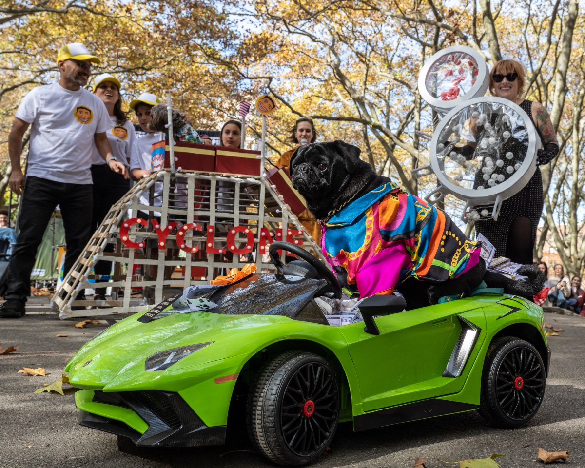 Dogs dazzle at Fort Greene’s Great PUPkin Costume Contest • Brooklyn Paper