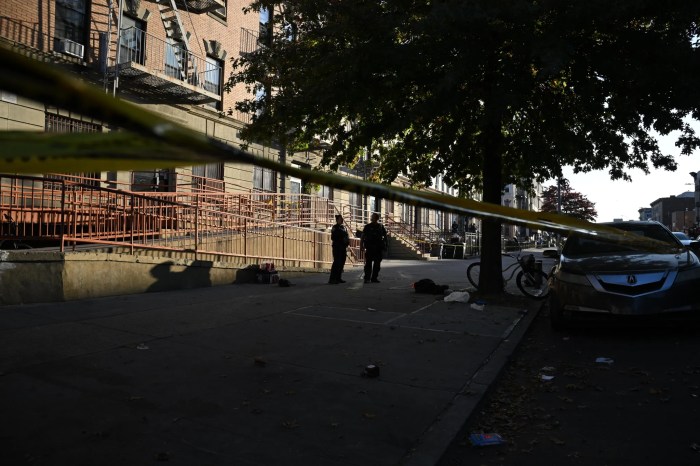 man shot in crown heights