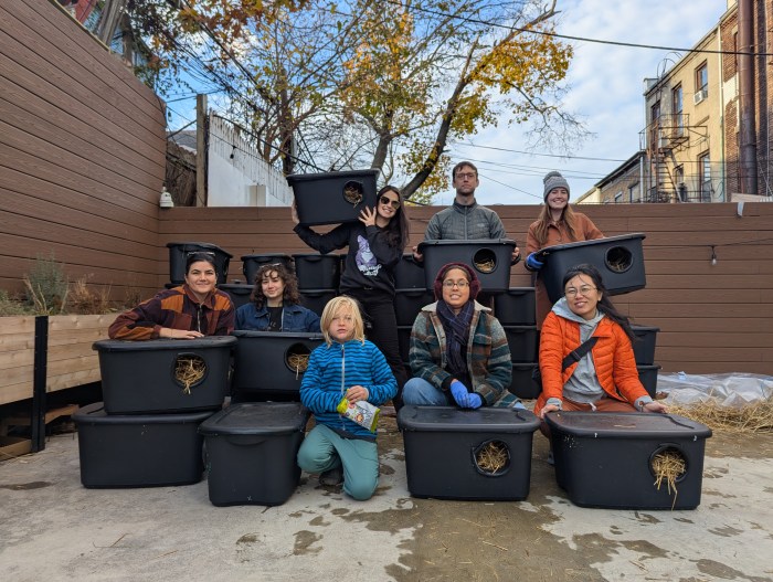 volunteers with cat shelters