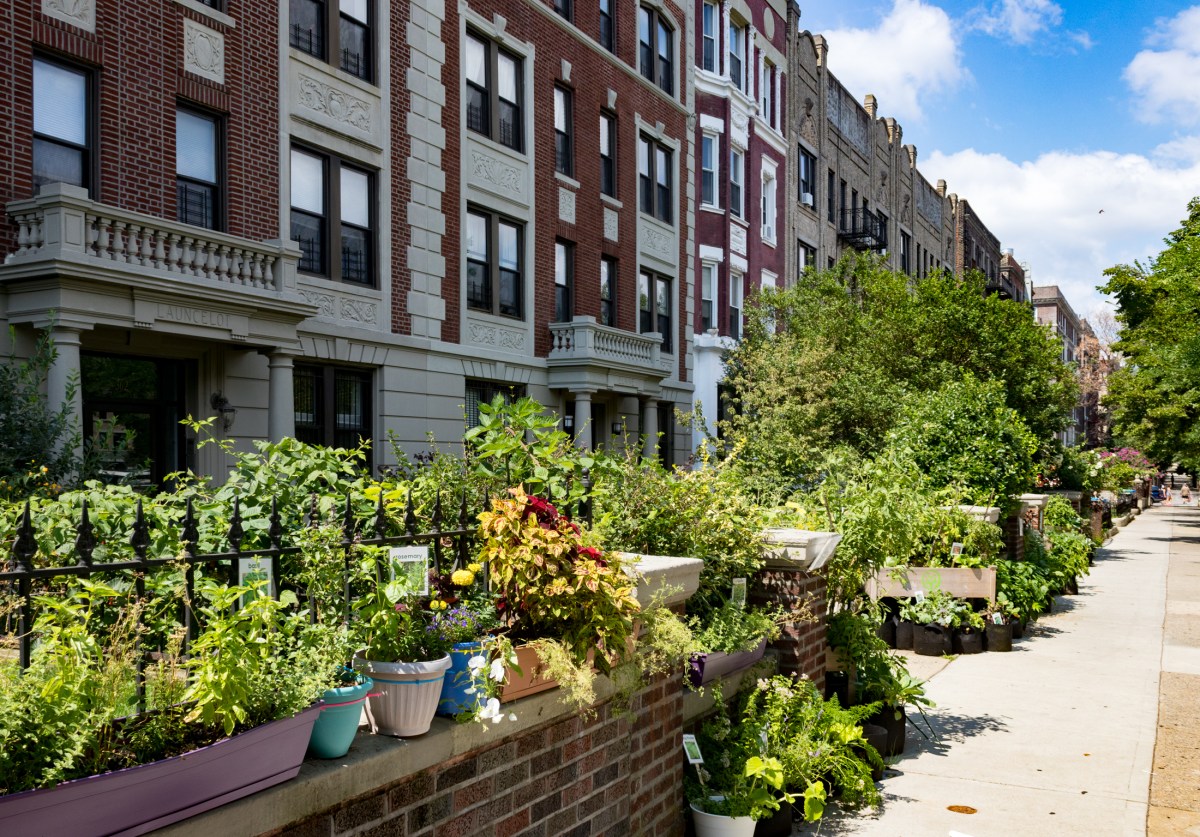 brownstone-agency-may-2024