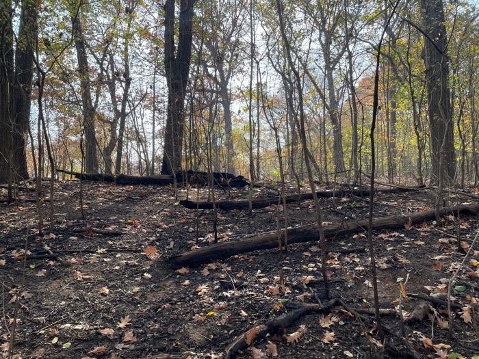 prospect park fire