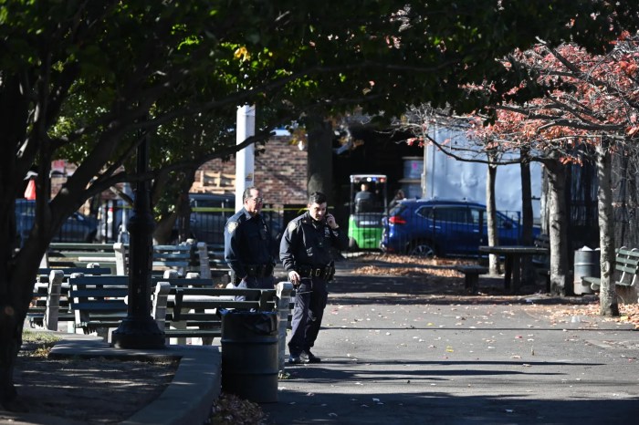 steuben playground stabbing