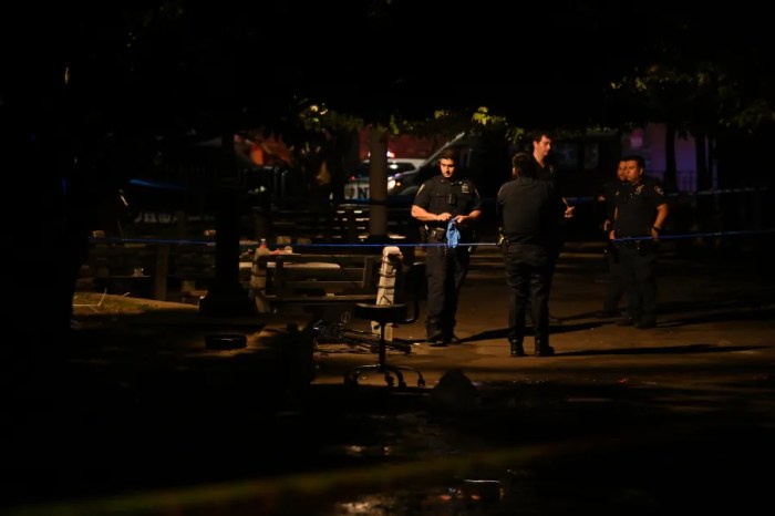 clinton hill shooting arrest