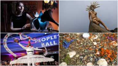 photosoftheyear
