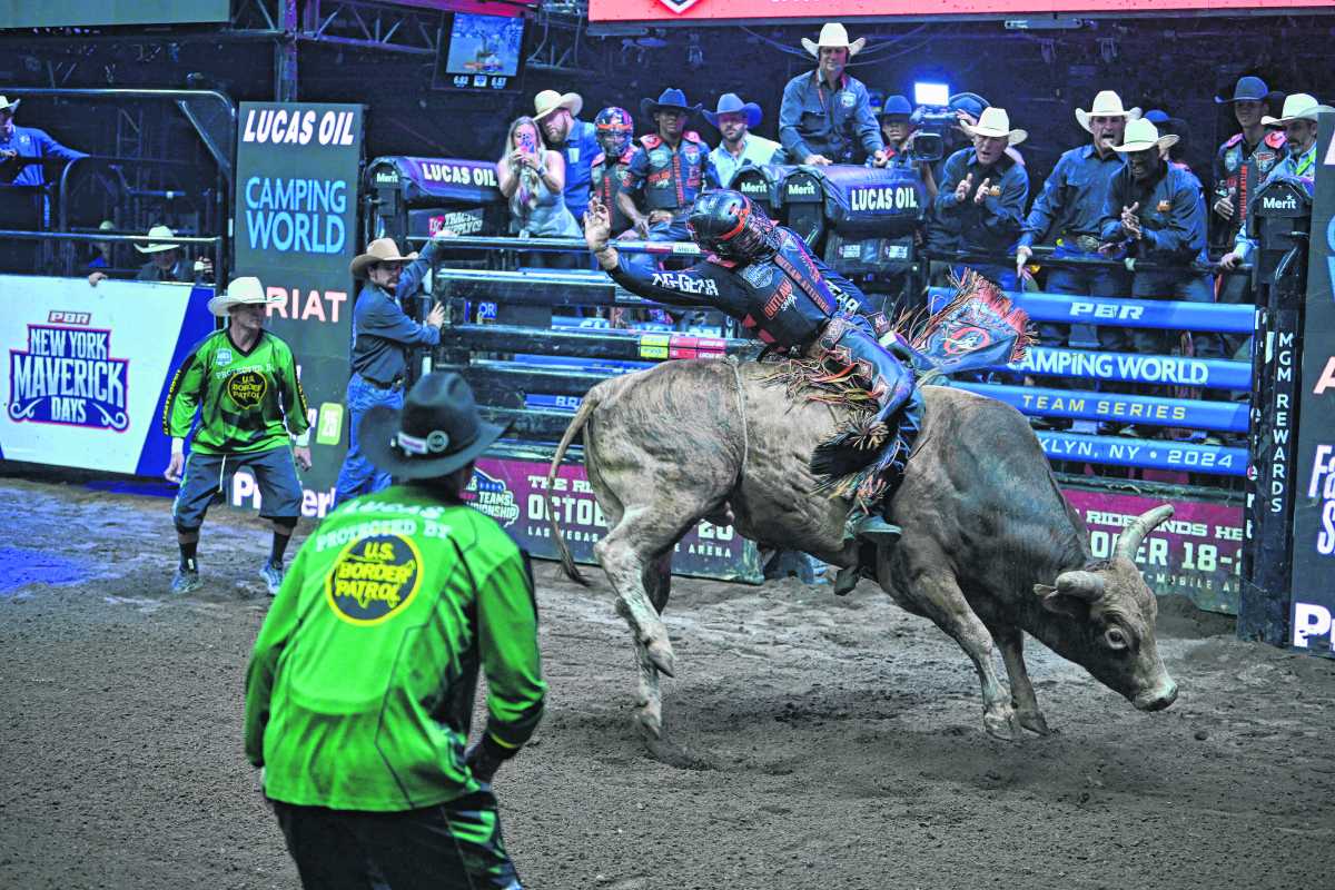 mavericks bull riding at barclays center
