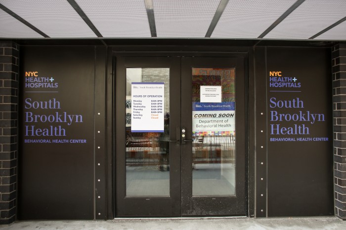 coney island behavioral health center