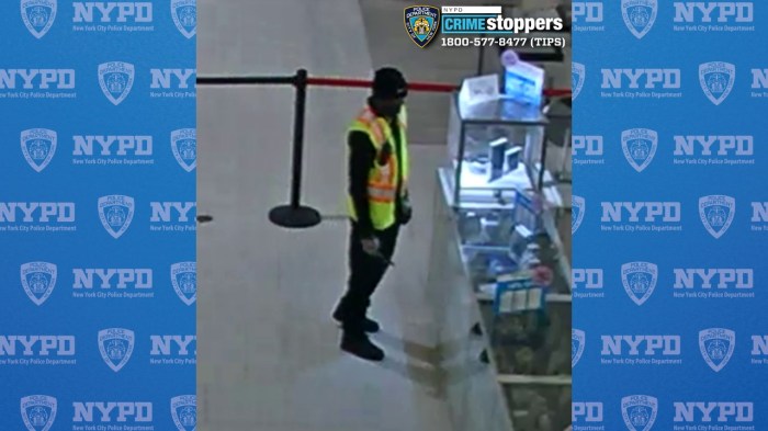 jewel thief in macy's