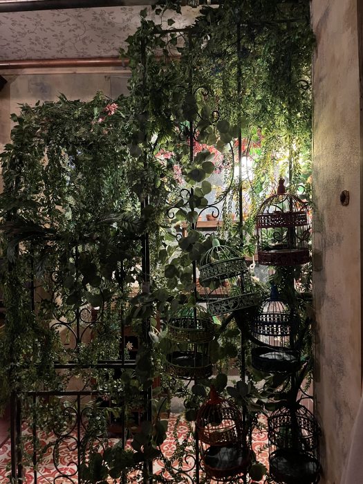 bird cages and plants in the bird escape room