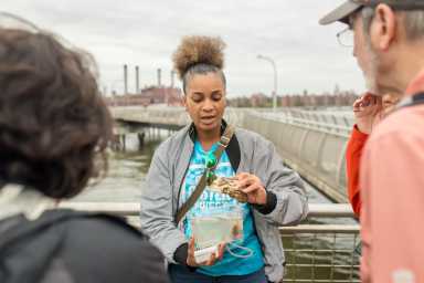 jane's walk