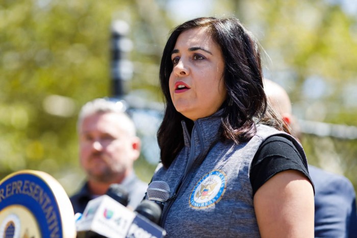 nicole malliotakis