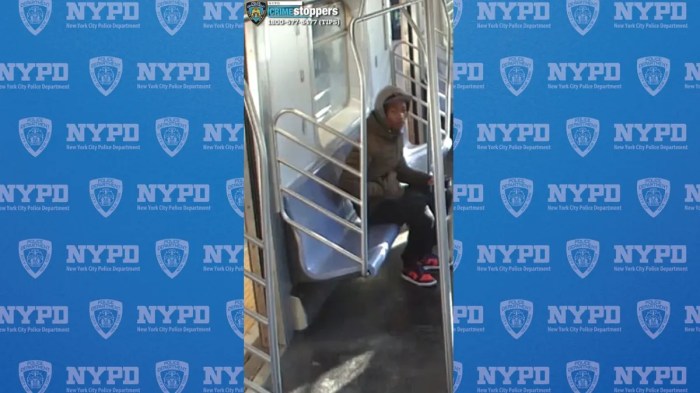 crown heights stabbing suspect