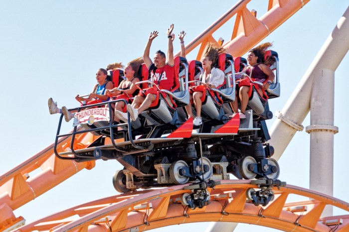 thunderbolt luna park
