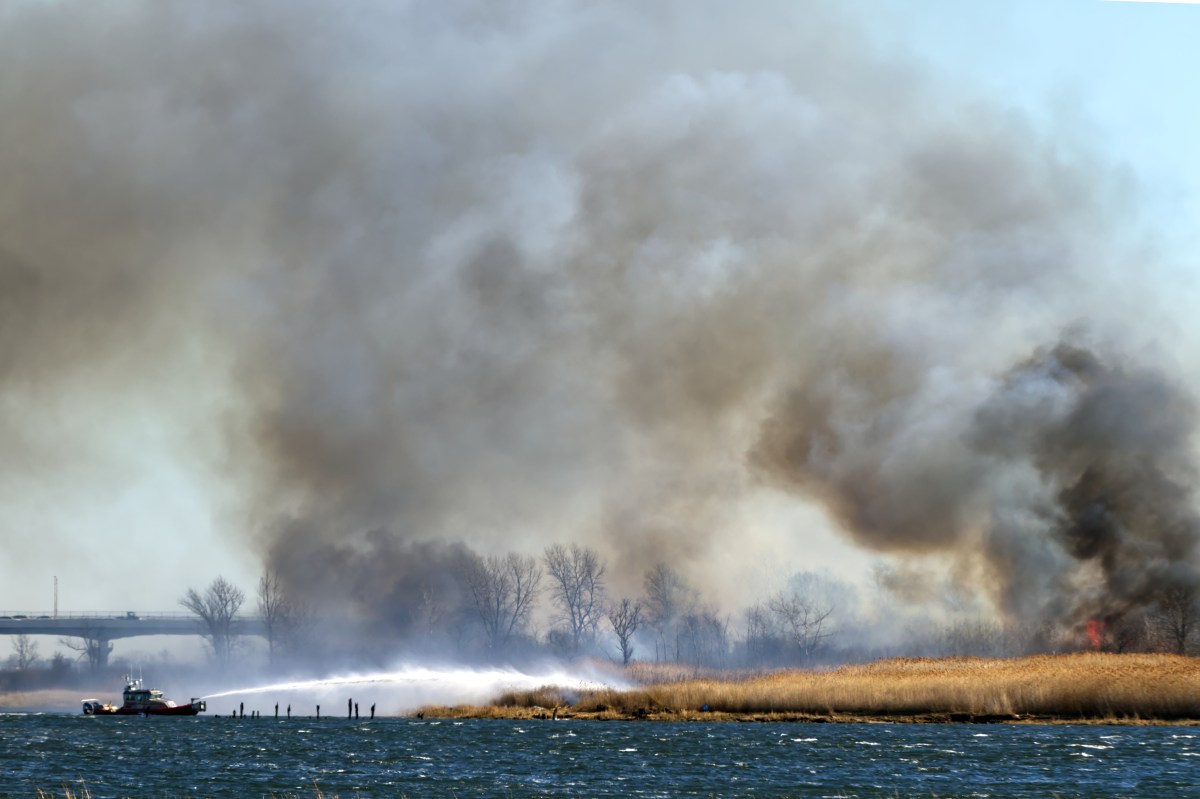 marine park brush fire